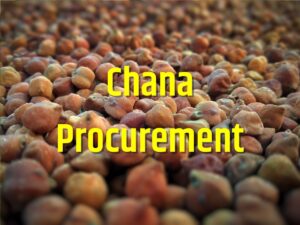 Chana Procurement