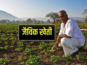 Organic Farming