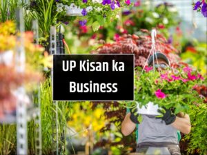UP Kisan ka Business