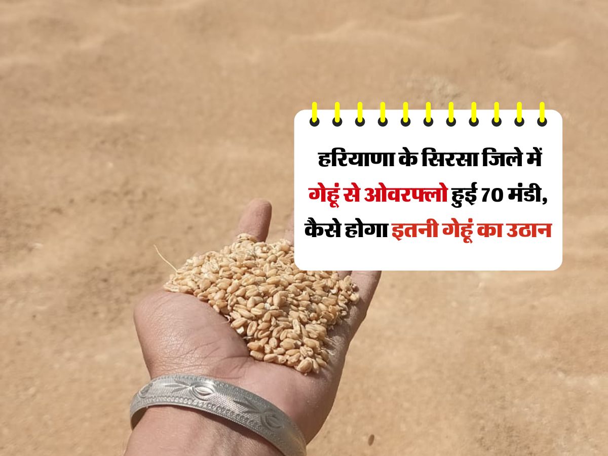 Haryana