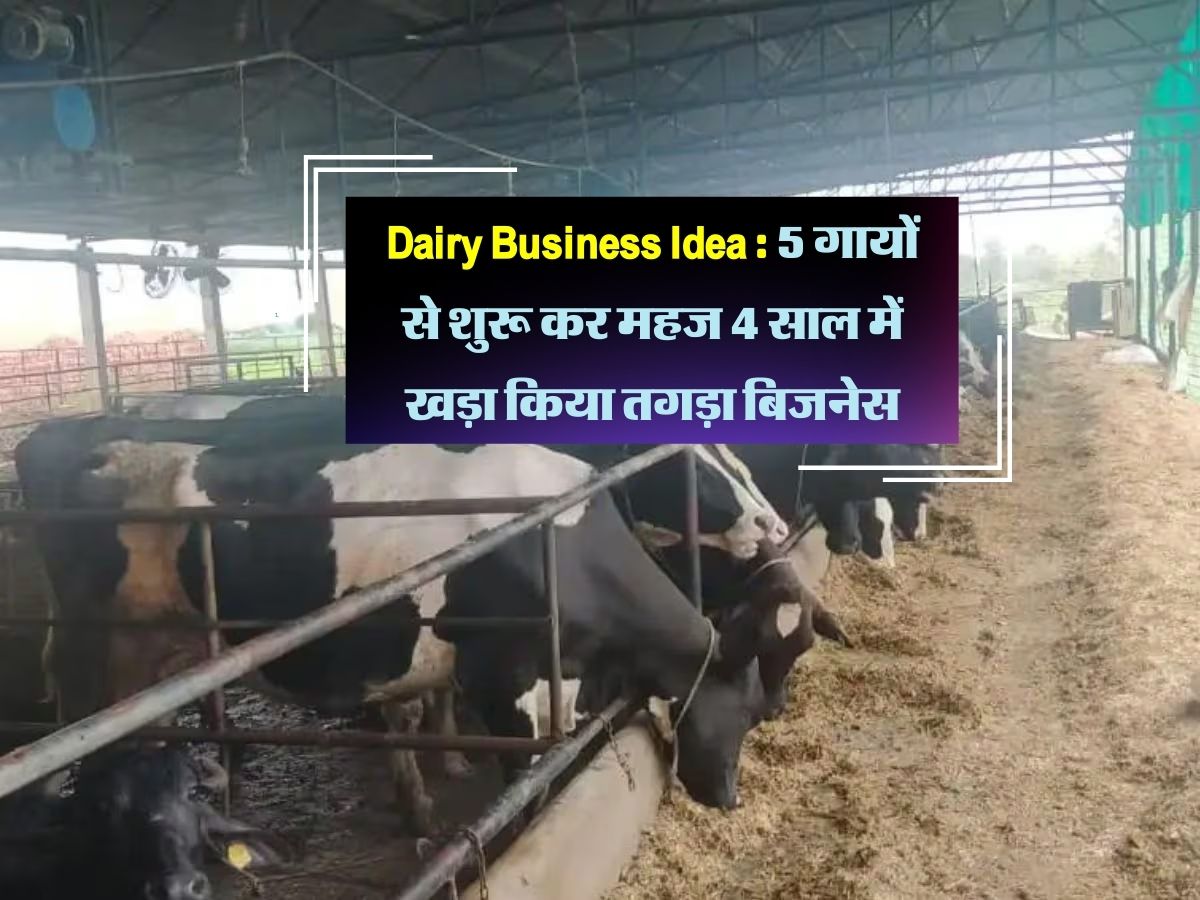 Dairy Business Idea : 5 गायों से शुरू कर महज 4 साल में खड़ा किया तगड़ा बिजनेस
